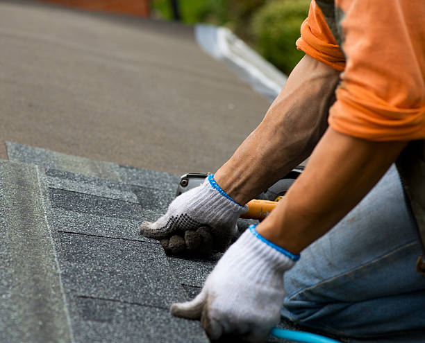 Best Residential Roofing Contractor  in Saginaw, MI